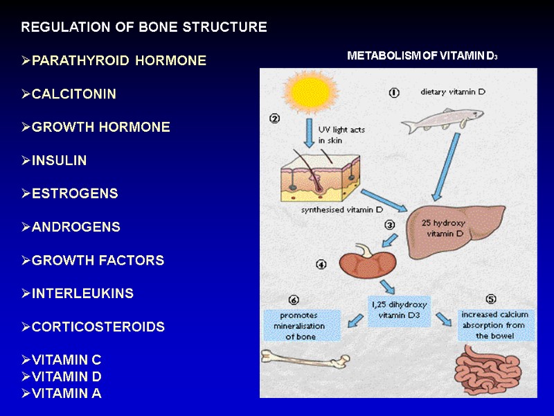 REGULATION OF BONE STRUCTURE  PARATHYROID HORMONE  CALCITONIN  GROWTH HORMONE  INSULIN